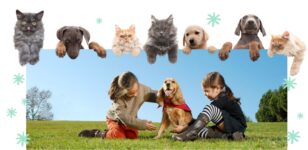 haz ejercicio con tus mascotas